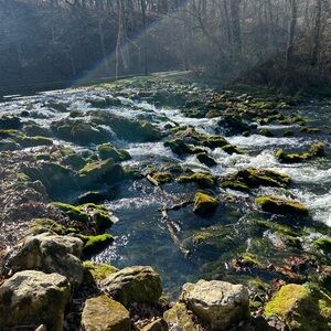 Meet your Posher, Leah